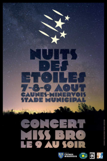 Festival astronomie